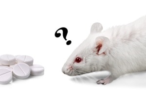 white mouse looking at pills